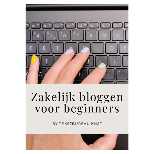 ebook zakelijk bloggen voor beginners